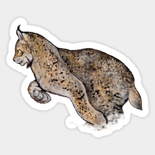 Beautiful cat - Lynx Sticker